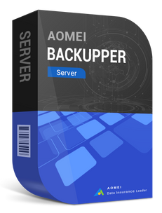 AOMEI Backupper Server 1 Year